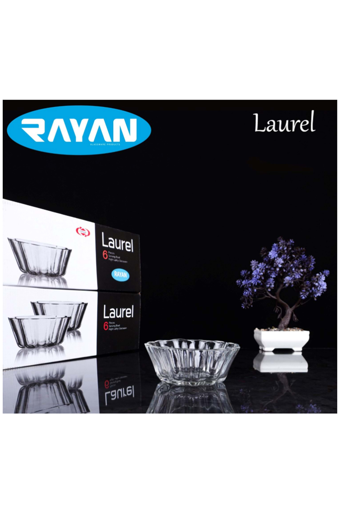 Rayan Laurel 6'lı Cam Kase