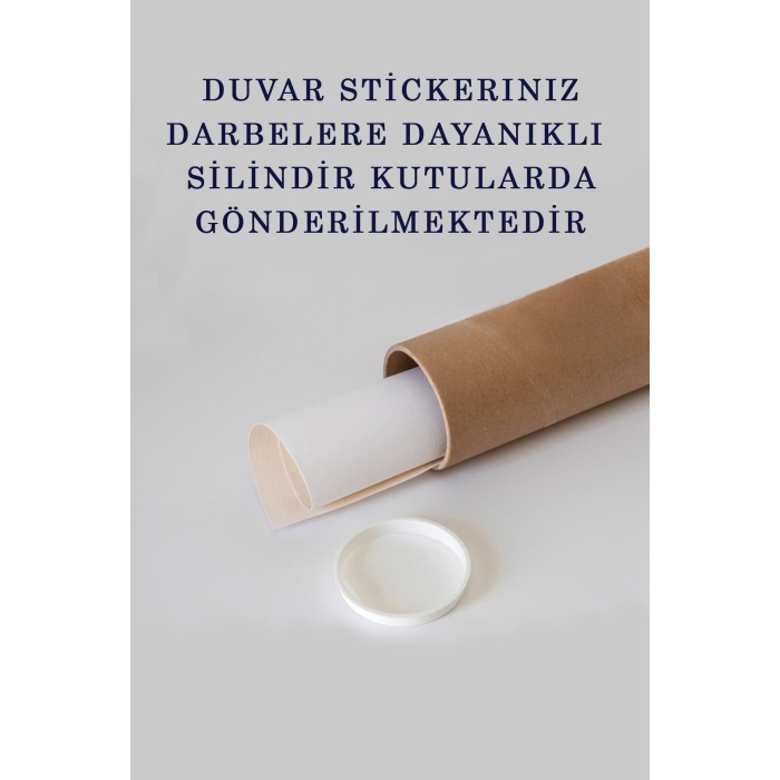 Eğitici Dünya Haritası Dünya Atlası Çocuk Ve Bebek Odası Duvar Sticker 3789