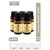 5li Set - Kavun Aroması Kavun Aroma Kiti - 5 x 10ML