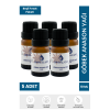 5li Göbek Anason Yağı Hazır Karışım 10ML x 5