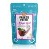 Pol’s Freeze Fresh Magic Ball Böğürtlenli Elma Topları 16 gr