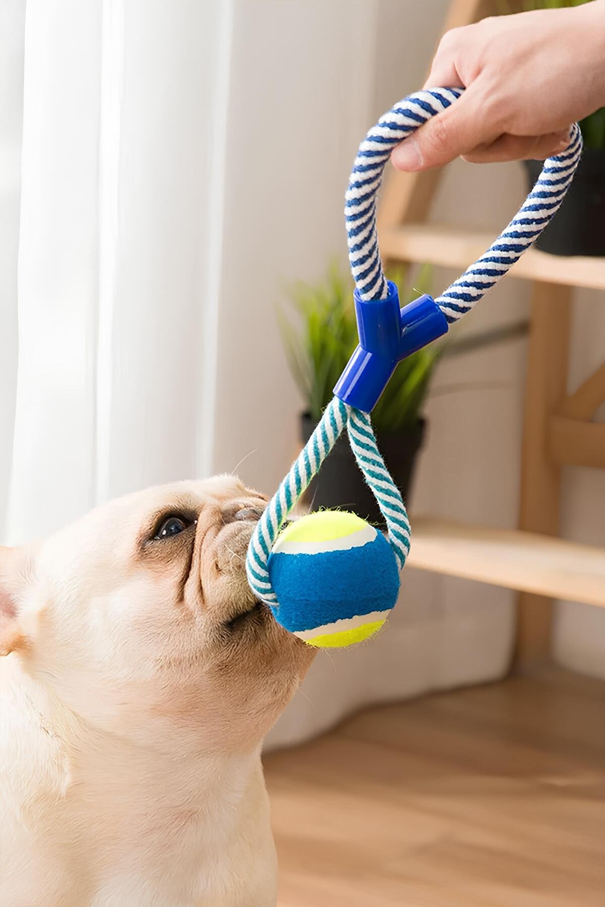 Halatlı Köpek Çiğneme Topu Dayanıklı Köpek Çene Güçlendirici Oyuncak