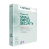 Kaspersky Small Office Security 10Pc+10Md+1Fs 1 Yıl