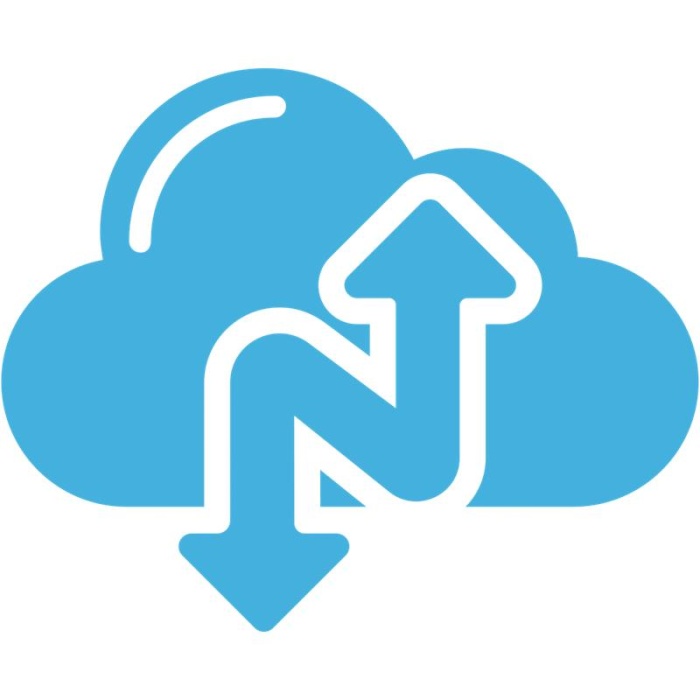 NARBULUT EASY IMAGE BACKUP  2TB CLOUD STORAGE - 1 YIL OF BASIC SUPPORT IS INCLUDED