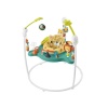 HND47 Fisher-Price Sevimli Leopar Jumperoo