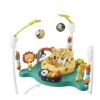 HND47 Fisher-Price Sevimli Leopar Jumperoo