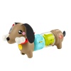 HTW91 Fisher-Price Köpekçikle Eğlenceli Aktiviteler