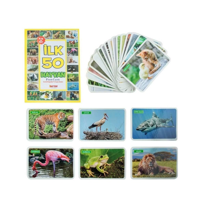 1352 Flash Cards İlk 50 Hayvan -Dıytoy