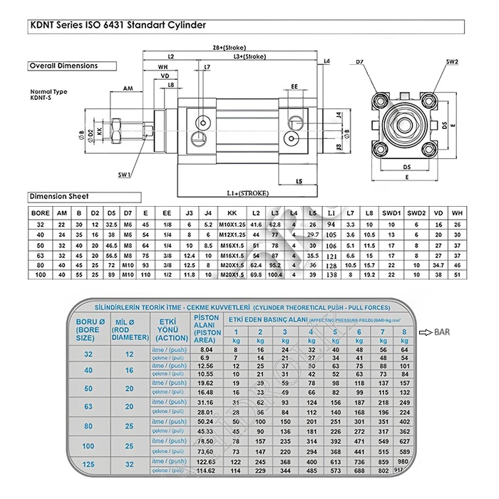 Q100X125 ISO MANYETİK YASTIKLI SİLİNDİR (KDNT)