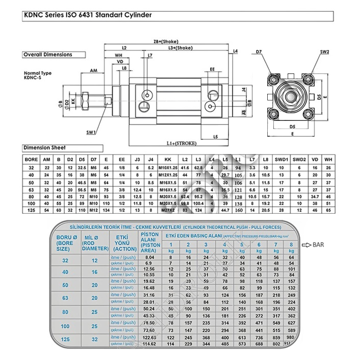 Q100X300 ISO MANTEYİK YASTIKLI SİLİNDİR (KDNC)