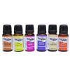 Fresh Assorted Fragrance Oil 24lü Set