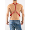 Erkek Harness