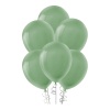 Okaliptus Pastel Balon 12