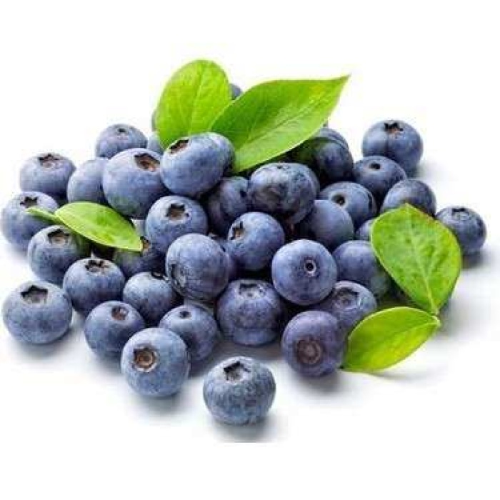 2 Adet Tüplü Yaban Mersini(likapa,blueberry,maviyemiş)  Fidanı