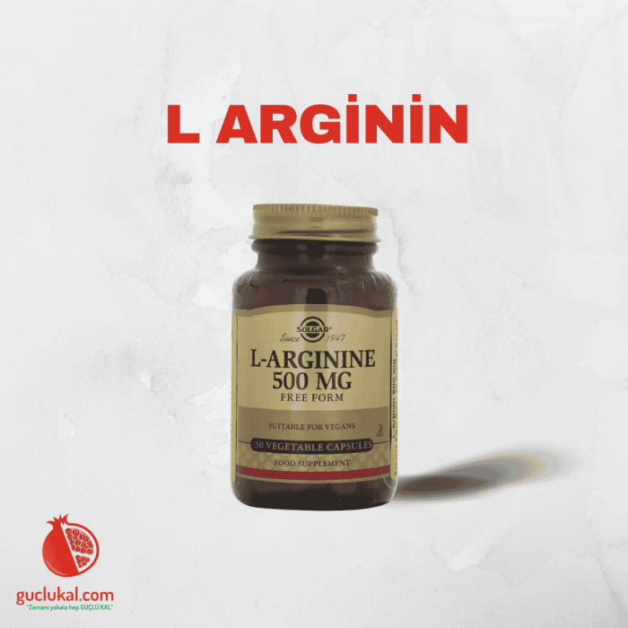 Solgar L-Arginine 500 Mg 50 Kapsül