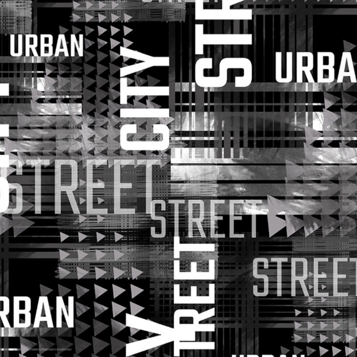 City Street Siyah Beyaz Poster Kanvas Tablo 50 x 70