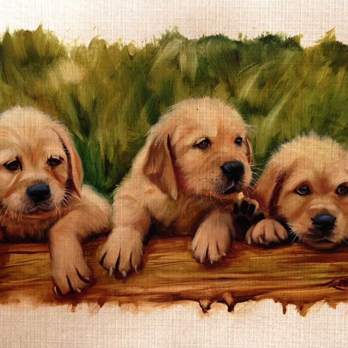 Şirin Yavru Köpekler Yağlıboya Kanvas Tablo 50 x 70