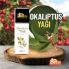 Okaliptus Yağı