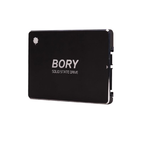 BORY 1 TB  SATA3 R500-C1T SSD 550/510 MBS (3 YIL GARANTİLİ)