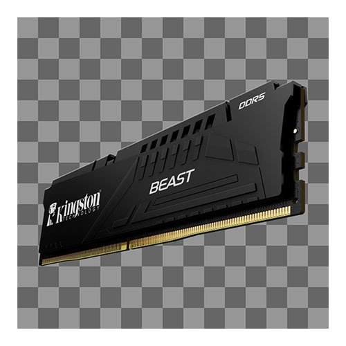 KNG Beast 16GB 5600 D5 KF556C36BBE-16TR