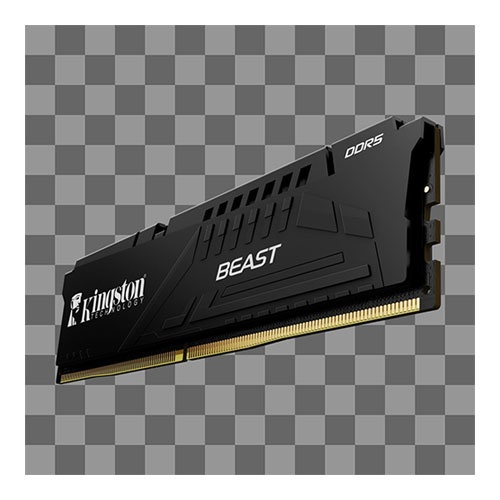KNG Beast 32GB 5600 D5 KF556C36BBE-32TR