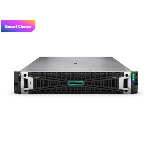 HPE DL380 Gen11 4510-64GB-2x960GB SSD-2U (P52534)