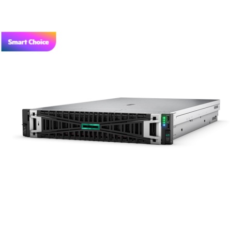 HPE DL380 Gen11 4510-64GB-2x960GB SSD-2U (P52534)