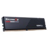 GSKILL GSKILL Ripjaws S5 Siyah DDR5-5200Mhz CL40 24GB (1x24GB) Single (40-40-40-83) 1.10V