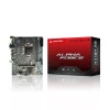 ARKTEK ARKTEK ALPHA FORCE, AK-H510M EG VS, 2xDDR4, M.2, 2x HDMI, DP, 10-11.Nesil, LGA1200 Soket, Anakart
