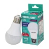 THORLIGHT A-6009-B ( 9.3W ) E27 BEYAZ LED AMPUL*10X6