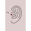 316l Çelik Gümüş Renk Topçuk Model Piercing - Tj-pr1365