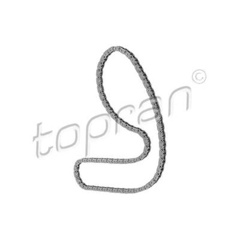 YAG POMPA ZINCIRI VW 059109252