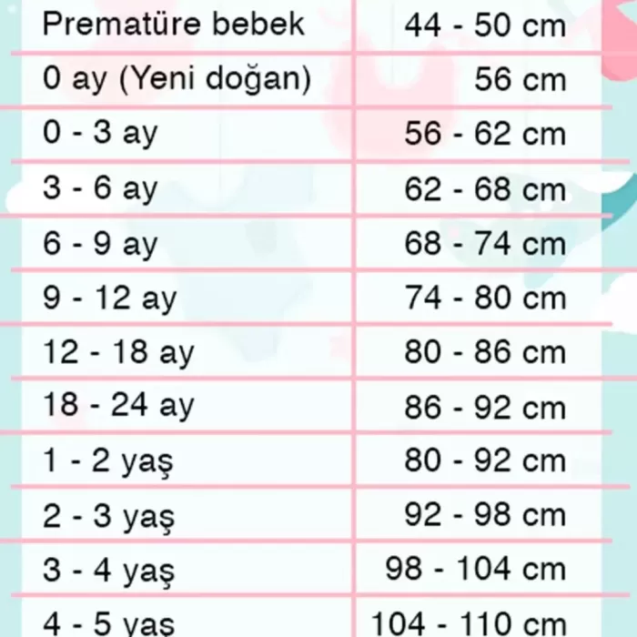 Bear Nakışlı Kapişonlu Erkek Bebek Takım