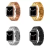 Apple Watch 42mm Krd-20 Metal Kordon