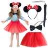 Minnie Mouse Kostüm Seti - Etek, Taç, Kuyruk, Papyon