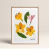 HOMEPACK AHŞAP ÇERÇEVELİ (tüm renkler) BLOSSOM TABLO  POSTER TABLO SETİ BLOSSOM/022