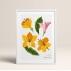 HOMEPACK AHŞAP ÇERÇEVELİ (tüm renkler) BLOSSOM TABLO  POSTER TABLO SETİ BLOSSOM/022