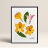 HOMEPACK AHŞAP ÇERÇEVELİ (tüm renkler) BLOSSOM TABLO  POSTER TABLO SETİ BLOSSOM/022