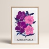 HOMEPACK AHŞAP ÇERÇEVELİ (tüm renkler) BLOSSOM TABLO  POSTER TABLO SETİ BLOSSOM/037