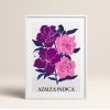 HOMEPACK AHŞAP ÇERÇEVELİ (tüm renkler) BLOSSOM TABLO  POSTER TABLO SETİ BLOSSOM/037