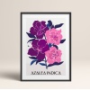 HOMEPACK AHŞAP ÇERÇEVELİ (tüm renkler) BLOSSOM TABLO  POSTER TABLO SETİ BLOSSOM/037