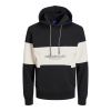 Jorlakewood Relaxed Fit Kapüşonlu Sweat Erkek SWEAT 12246802