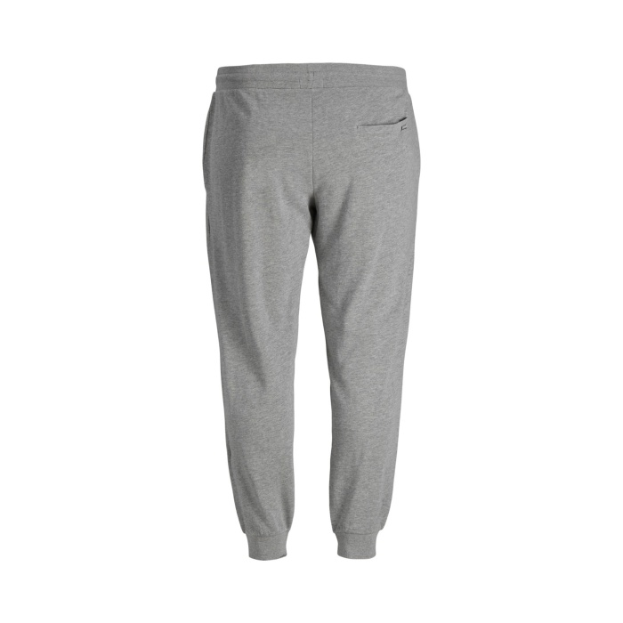 Jjıgordon Jjshark Sweat Pant At Noos Ps