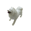 Soft Köpekler - Samoyed Cinsi Köpek  - E013