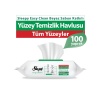 Sleepy Yüzey Temizlik Havlusu 100lü