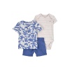 Carters Layette Erkek Bebek 3Lü Set 1Q476410 Karışık Renkli