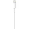 Apple USB-C - Lightning Kablosu (1 m) - MM0A3ZM/A (Apple Türkiye Garantili)