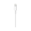 Apple Lightning (2m) USB Kablo - MD819ZM/A