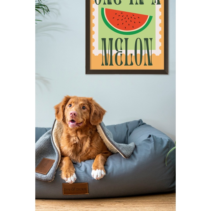 One in a Melon, Eğlenceli Posterler, Çerçeveli Poster