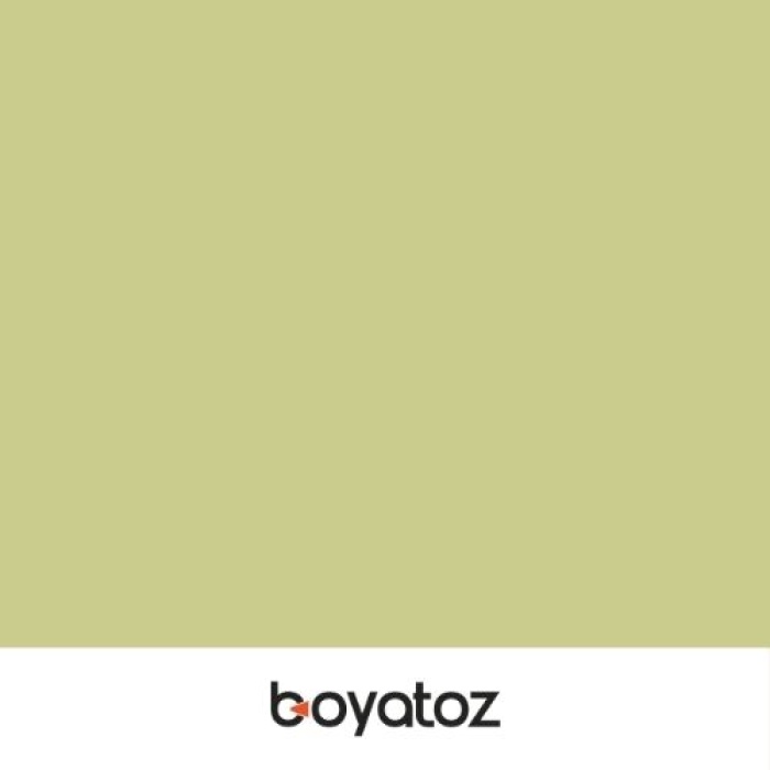 Ral 1000 (Green Beige) Polyester Elektrostatik Toz Boya